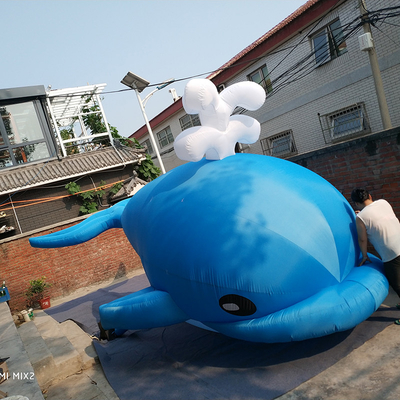 광고 만화 팽창 캐릭터 고래 상어 팽창 돌고래 어린이 놀이 이벤트