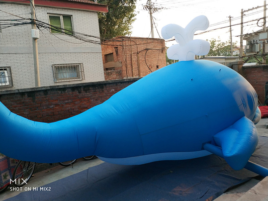 광고 만화 팽창 캐릭터 고래 상어 팽창 돌고래 어린이 놀이 이벤트